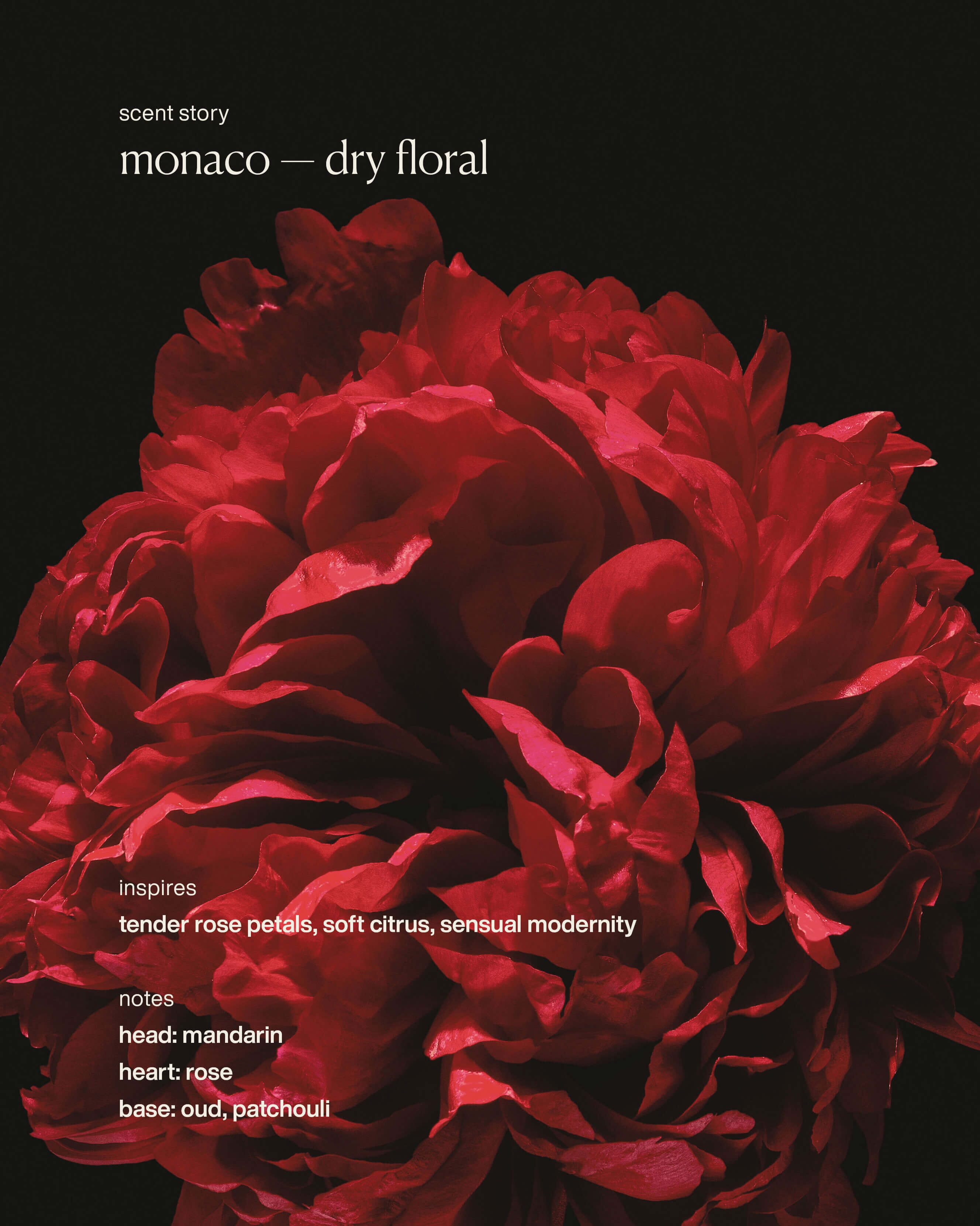 monaco - restorative hand wash