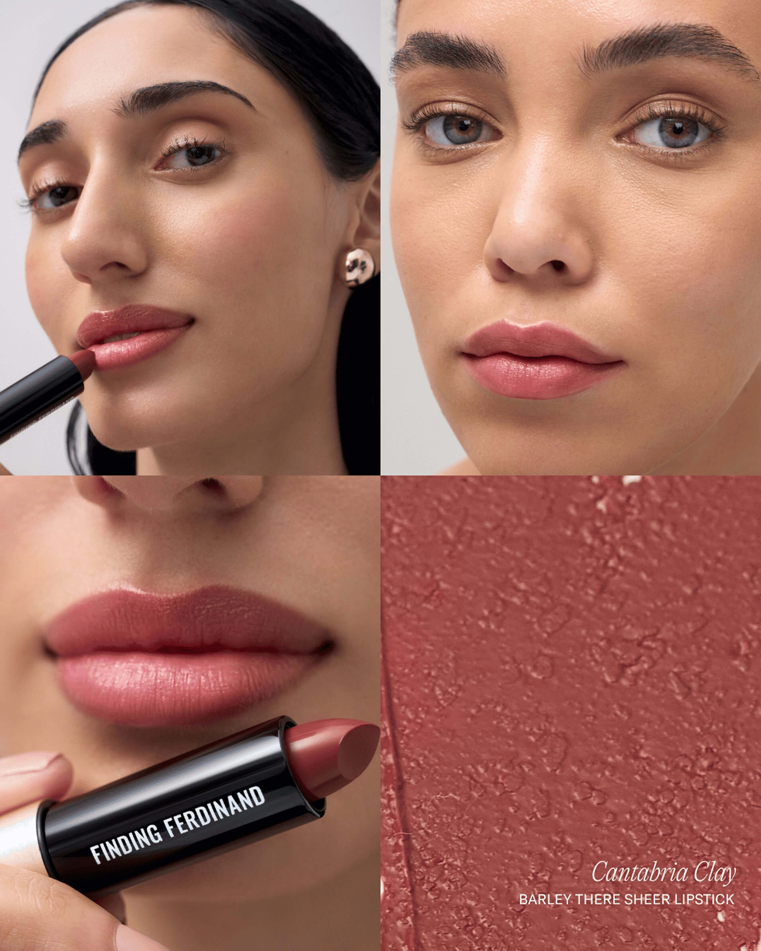 Cantabria Clay (Brick nude red with neutral undertones)