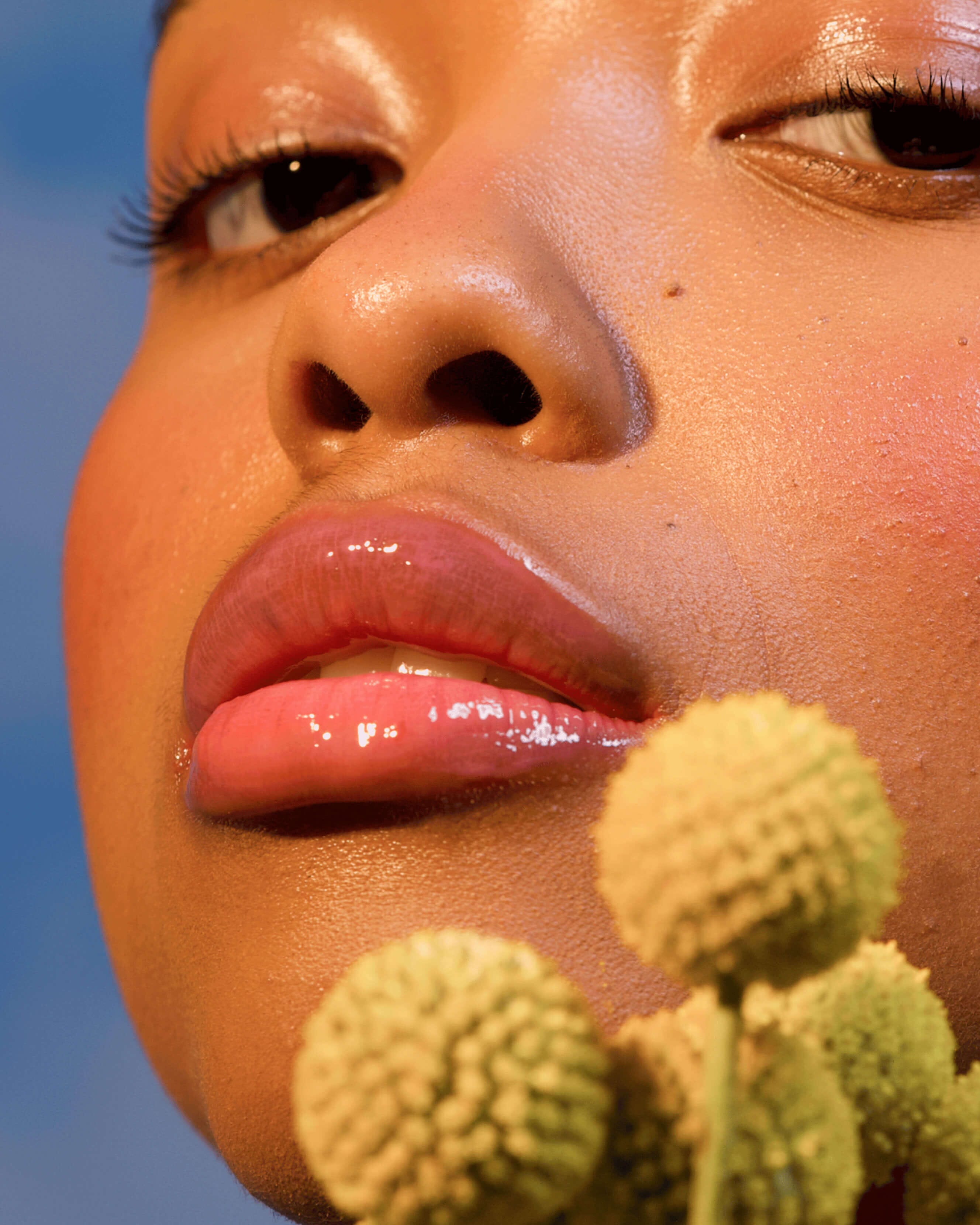 Petal (pink lavender with cool undertones)