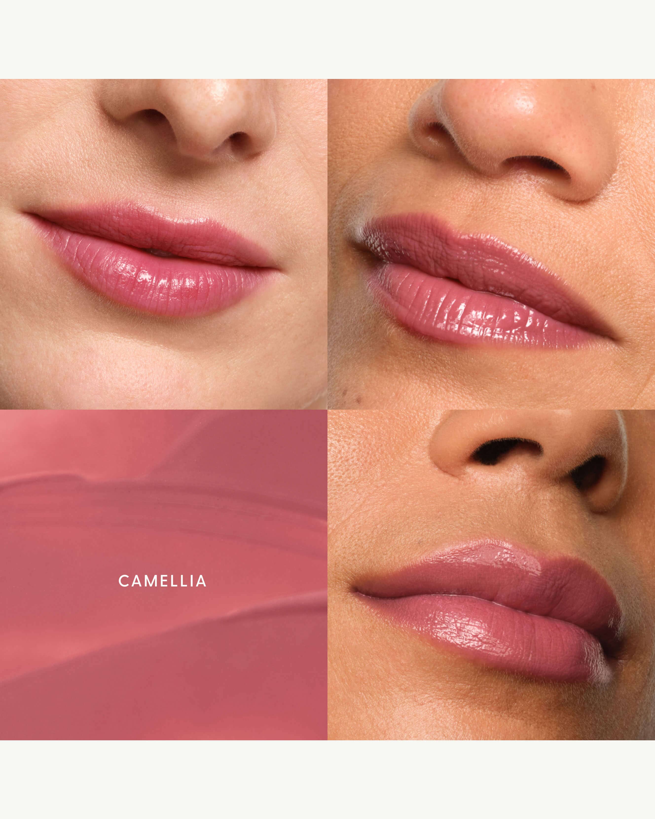 Camellia (cool pink)