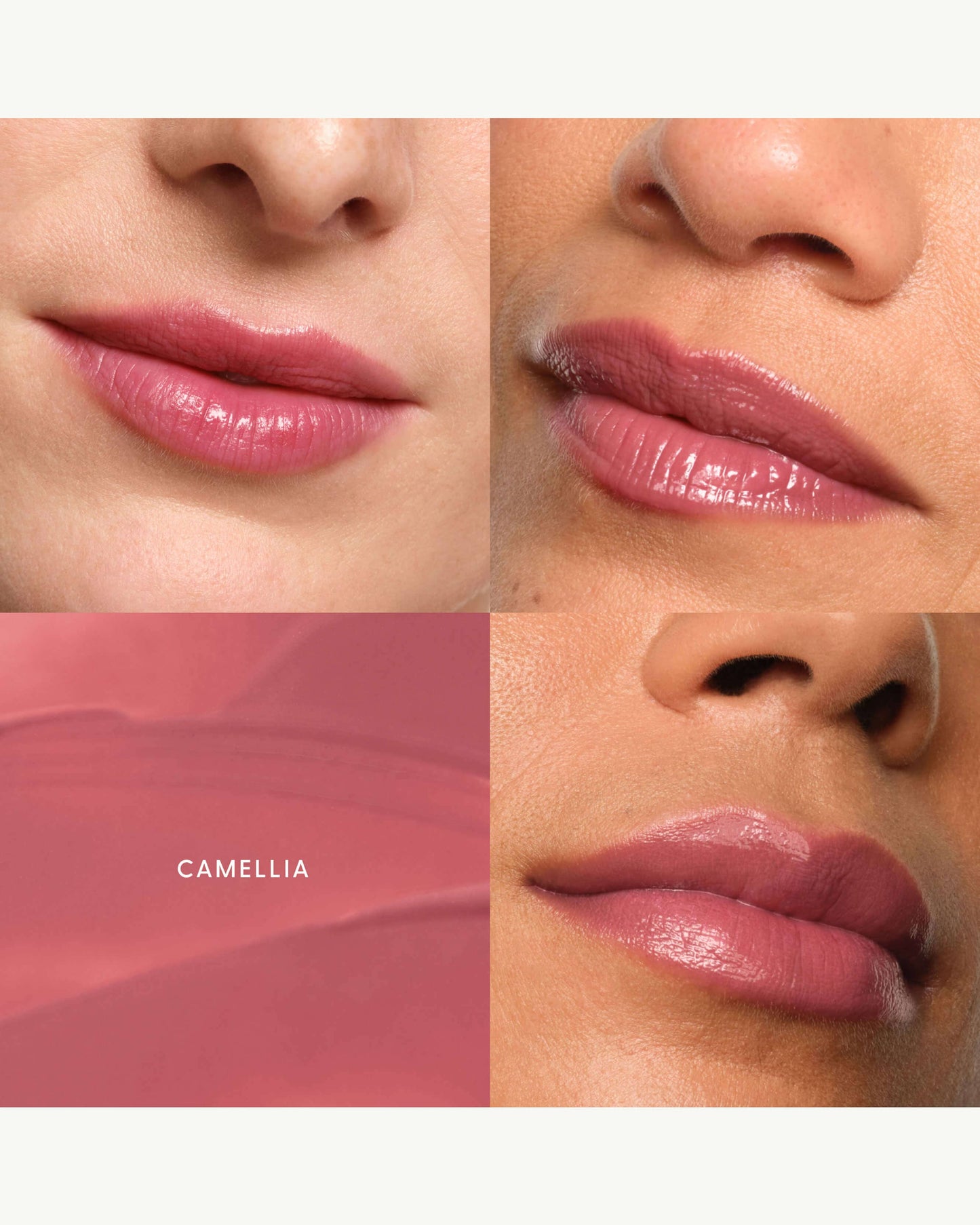Camellia (cool pink)