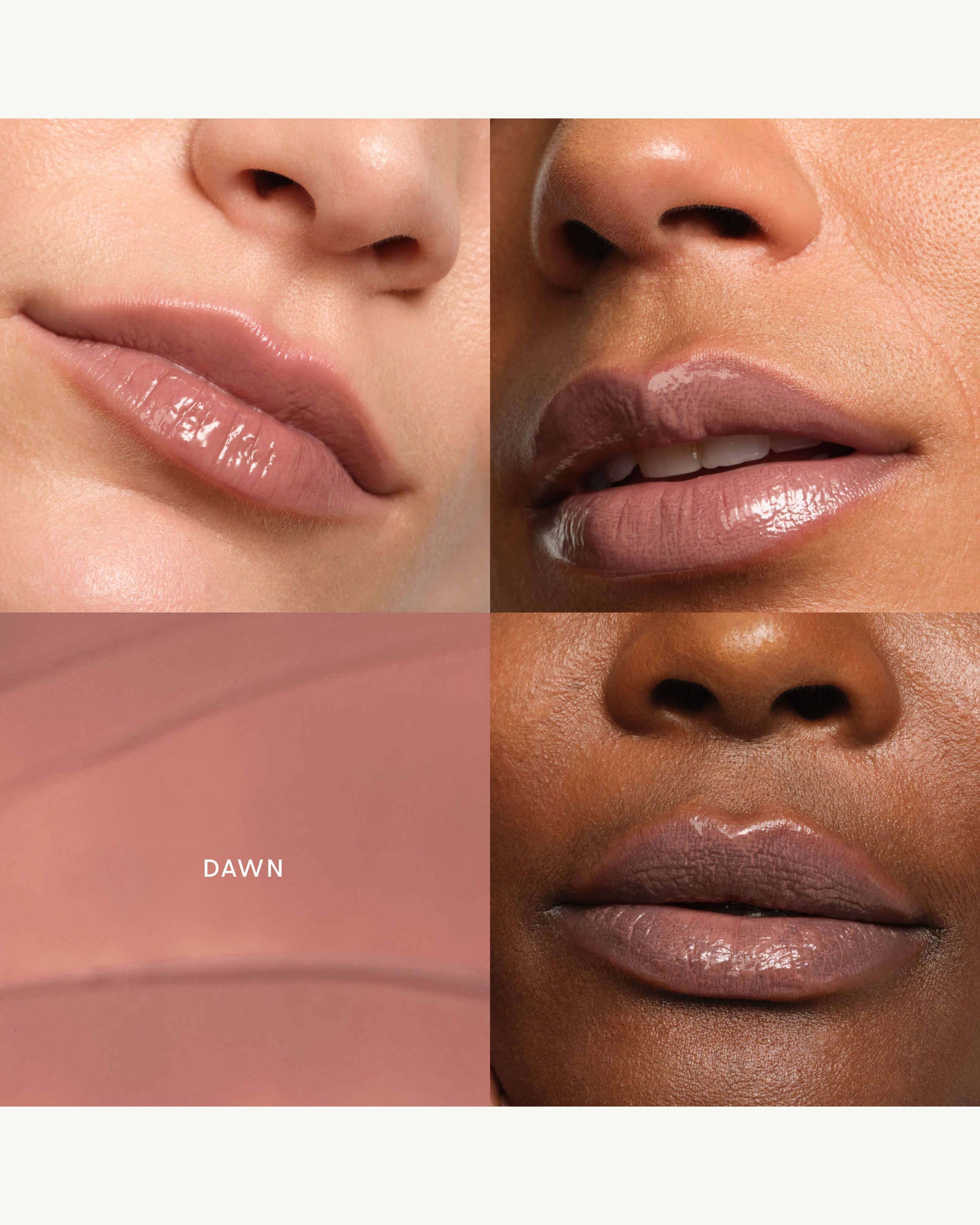 Dawn (taupe rose)