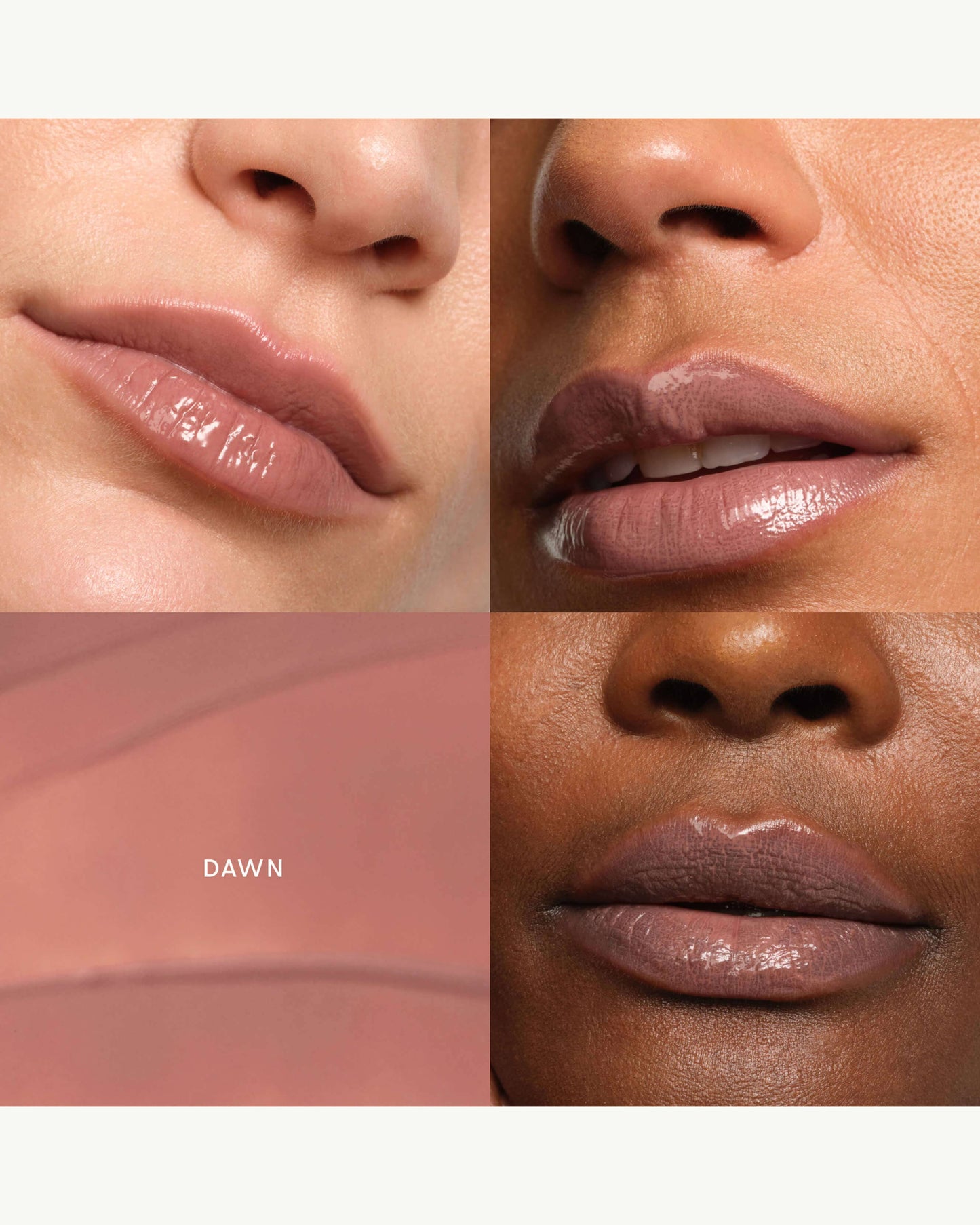 Dawn (taupe rose)
